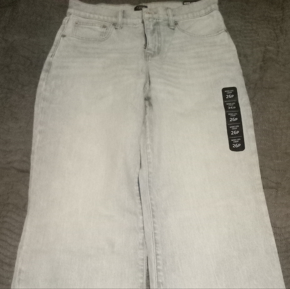 J. Crew Blue Flare Wide Leg Jeans